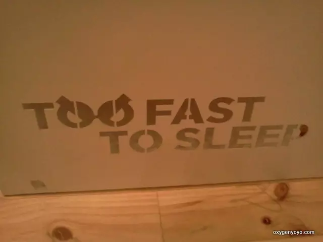 too fast to sleep logo